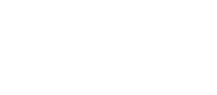 PaardenverzekeringSlochteren